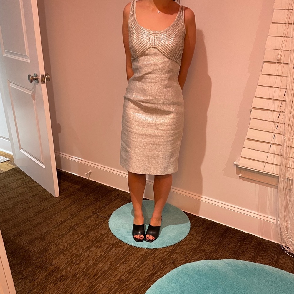 Silver metallic and beaded dress. Made by Carmen Marc Valvo.